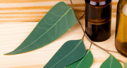 Eucalyptus essential oil on wooden table