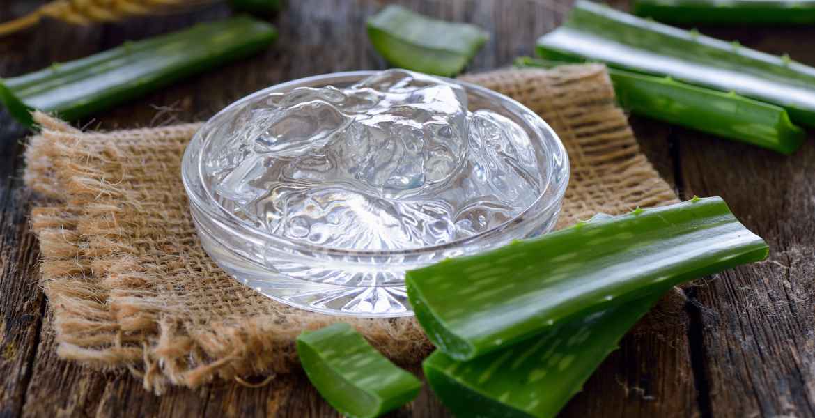 aloe vera and gel