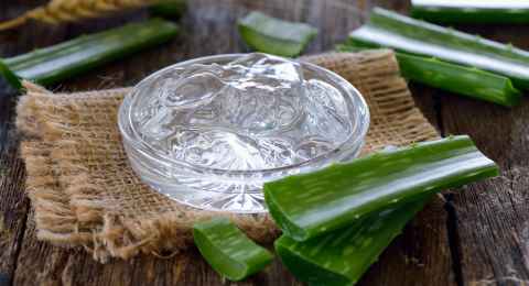 aloe vera and gel