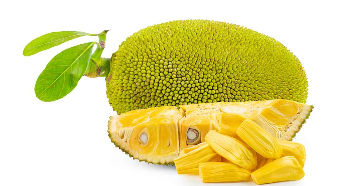 The many health benefits of jackfruits