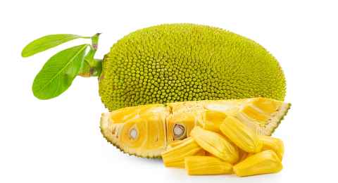 The many health benefits of jackfruits