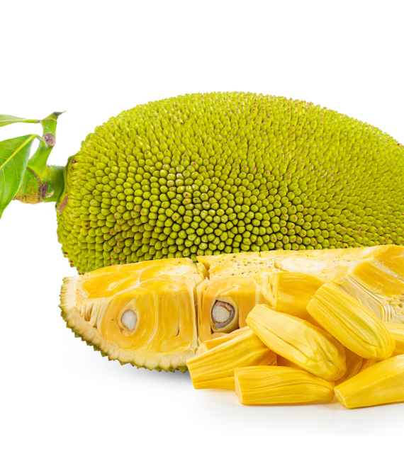 The many health benefits of jackfruits