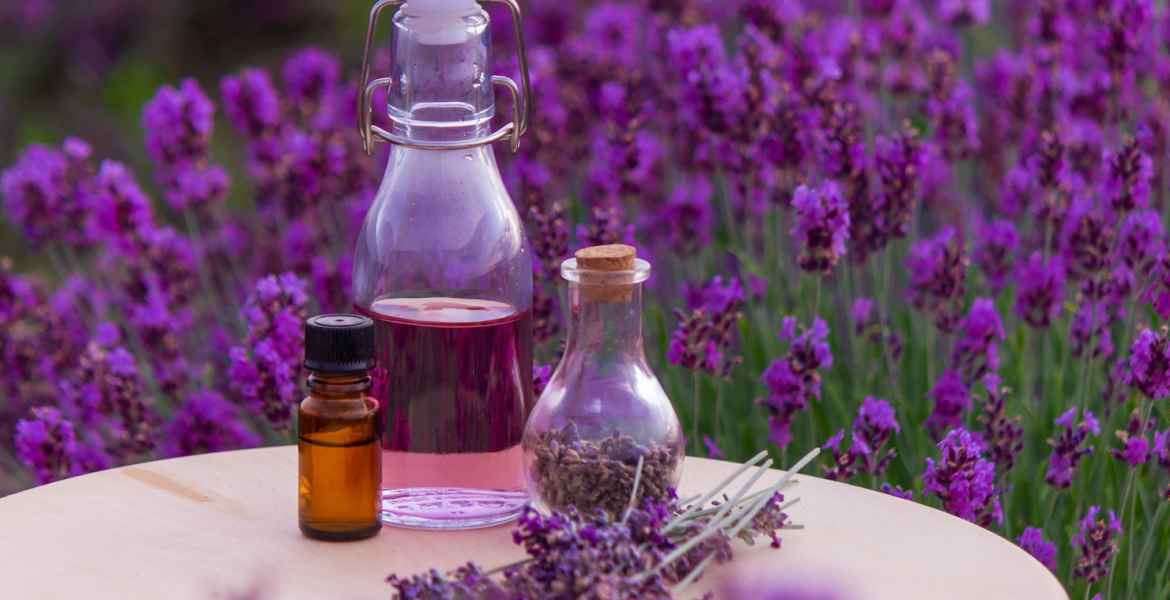 jars with lavender oil, lavender flowers, on the background of a lavender field.