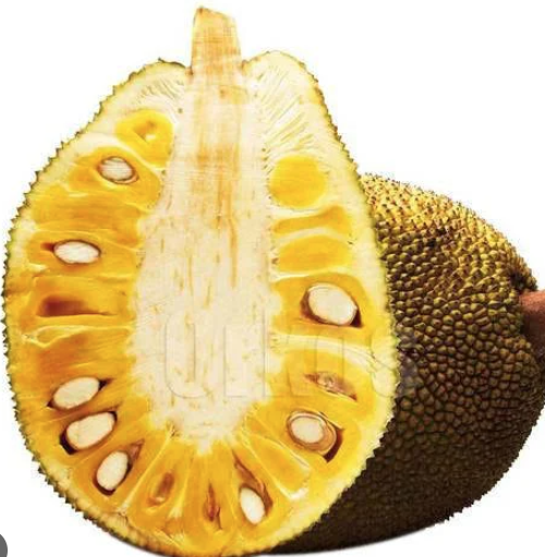 Black Gold Jackfruit