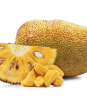 Golden Nugget Jackfruit