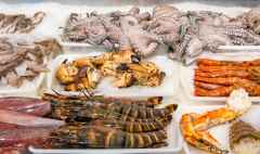 shellfish and seafood at a market 2022 12 17 03 43 15 utc