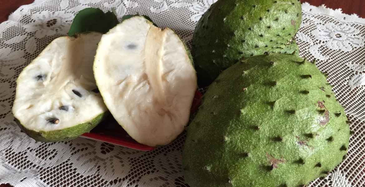 soursop fruits