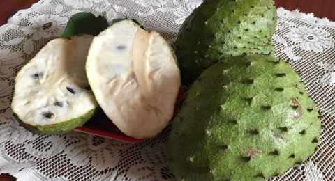 soursop fruits