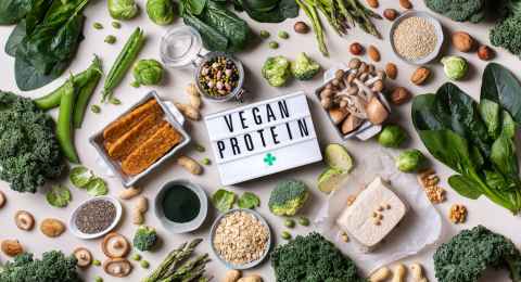 variety of vegan, plant based protein food